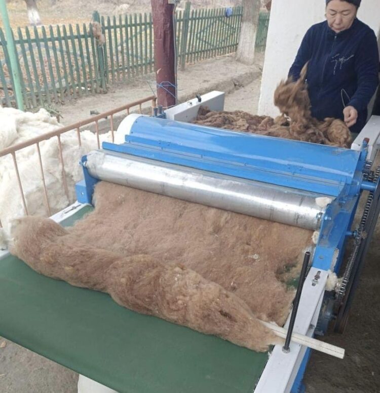 ТҮРКІСТАН: СОЗАҚТА «АУЫЛ АМАНАТЫНЫҢ» АРҚАСЫНДА КӘСІП АШҚАНДАР САНЫ КӨБЕЙІП КЕЛЕДІ