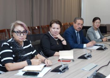 ТҮРКІСТАН: КОМИССИЯ ОТЫРЫСЫНДА ӘЙЕЛДЕР ЖҰМЫССЫЗДЫҒЫН АЗАЙТУ БОЙЫНША ШАРАЛАР ҚАРАЛДЫ