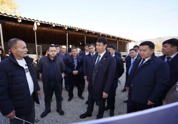 ДАРХАН САТЫБАЛДЫ КЕНТАУДА «АУЫЛ АМАНАТЫ» ЖОБАСЫ АРҚЫЛЫ АШЫЛҒАН ЖОБАЛАРМЕН ТАНЫСТЫ