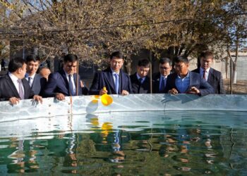 ТҮРКІСТАН: ОТЫРАРЛЫҚ  КӘСІПКЕР ЖЫЛЫНА 20 ТОННА БАЛЫҚ ӨНДІРІП ОТЫР