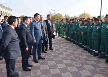 ТҮРКІСТАН: QR-КОД АРҚЫЛЫ ВЕТЕРИНАР ЖҰМЫСЫН БАҒАЛАУҒА БОЛАДЫ