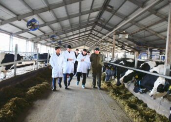 ТҮРКІСТАН: ҚЫТАЙЛЫҚ ИНВЕСТОРЛАР ОРДАБАСЫ АУДАНЫНЫҢ ТАБИҒИ ӨНІМДЕРІНЕ ҚЫЗЫҒУШЫЛЫҚ ТАНЫТТЫ