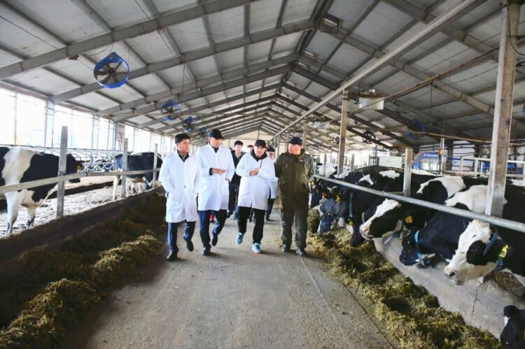 ТҮРКІСТАН: ҚЫТАЙЛЫҚ ИНВЕСТОРЛАР ОРДАБАСЫ АУДАНЫНЫҢ ТАБИҒИ ӨНІМДЕРІНЕ ҚЫЗЫҒУШЫЛЫҚ ТАНЫТТЫ