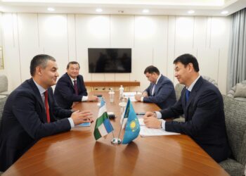 ДАРХАН САТЫБАЛДЫ БІРНЕШЕ ЕЛДІҢ ИНВЕСТОРЛАРЫМЕН КЕЛІССӨЗДЕР ЖҮРГІЗДІ