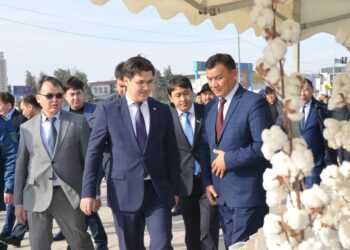 ЖЕТІСАЙЛЫҚТАР ЖЫЛДЫ ҚОРЫТЫНДЫЛАП, АГРОСЕКТОРДЫҢ ҮЗДІКТЕРІН МАРАПАТТАДЫ