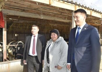 АУЫЛ ХАЛҚЫНЫҢ ҚУАНЫШЫН ЕСЕЛЕГЕН «АУЫЛ АМАНАТЫ»