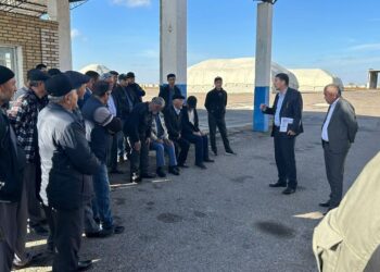 МАҚТААРАЛДА 9 ОКРУГТЕ АУЫЛ ШАРУАШЫЛЫҒЫ МӘСЕЛЕЛЕРІ БОЙЫНША СЕМИНАР-КЕҢЕСТЕР ӨТТІ