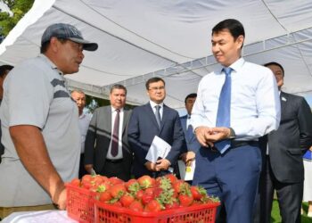 ТҮРКІСТАН ОБЛЫСЫНДА 4 МЫҢ ТОННА КӨКӨНІС САҚТАЙТЫН ҚОЙМАНЫҢ ҚҰРЫЛЫСЫ ЖҮРІП ЖАТЫР