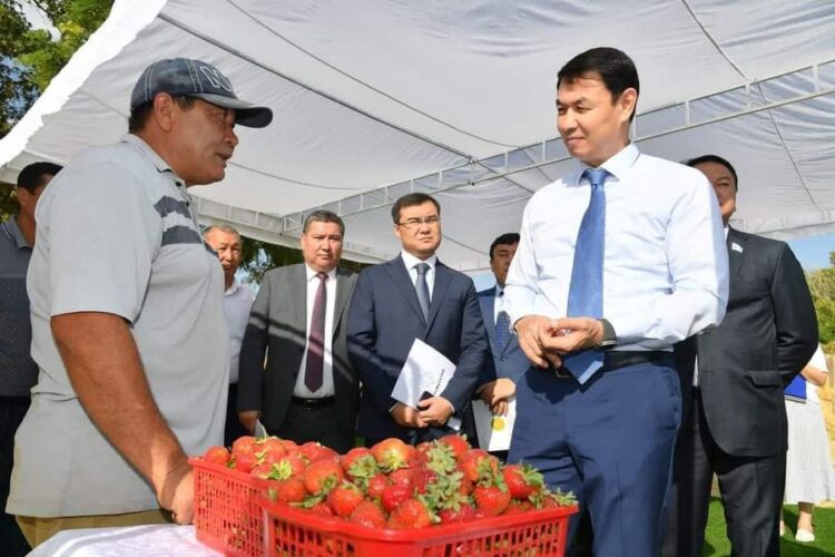 ТҮРКІСТАН ОБЛЫСЫНДА 4 МЫҢ ТОННА КӨКӨНІС САҚТАЙТЫН ҚОЙМАНЫҢ ҚҰРЫЛЫСЫ ЖҮРІП ЖАТЫР