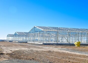 ДАРХАН САТЫБАЛДЫ: «КӘСІПКЕРЛЕР КЕЛЕДІ ДЕП КҮТІП ОТЫРМАЙМЫН, АЛДАРЫНА ӨЗІМ БАРАМЫН»