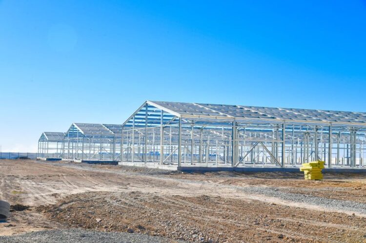 ДАРХАН САТЫБАЛДЫ: «КӘСІПКЕРЛЕР КЕЛЕДІ ДЕП КҮТІП ОТЫРМАЙМЫН, АЛДАРЫНА ӨЗІМ БАРАМЫН»