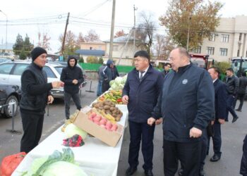 ЖӘНІБЕК АҒЫБАЕВ: 2024 ЖЫЛЫ «АУЫЛ АМАНАТЫ»  БАҒДАРЛАМАСЫНА 5 АУЫЛ ҚАТЫСАДЫ