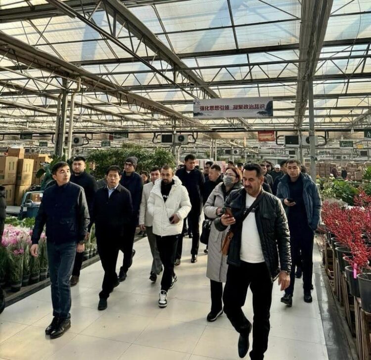 ТҮРКІСТАН ОБЛЫСЫНЫҢ ДЕЛЕГАЦИЯСЫ ҚЫТАЙ МЕМЛЕКЕТІНІҢ ӨНДІРІС ОРЫНДАРЫН АРАЛАП, ТӘЖІРИБЕ АЛМАСТЫ