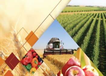 ТҮРКІСТАН ОБЛЫСЫНДА «АУЫЛ АМАНАТЫ» БАҒДАРЛАМАСЫ СӘТТІ ЖҮЗЕГЕ АСТЫ