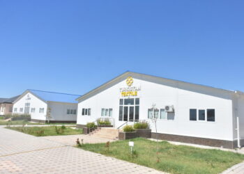 Алишер Абултаев: «ТҮРКІСТАНДА ТІГІНШІ ТАПШЫ»