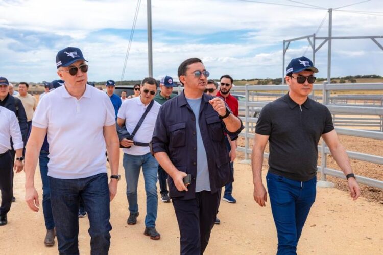 Қызыл ет пен дәнді дақылдар – Аустралиядағы ауыл шаруашылығының ең тиімді бағыттары