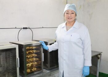 ТҮРКІСТАН: ТӨЛЕБИЛІК КӘСІПКЕР МЕМЛЕКЕТТІК ҚОЛДАУДЫҢ АРҚАСЫНДА ҚАҚ ӨНДІРЕ БАСТАДЫ