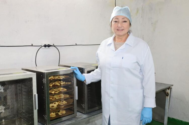 ТҮРКІСТАН: ТӨЛЕБИЛІК КӘСІПКЕР МЕМЛЕКЕТТІК ҚОЛДАУДЫҢ АРҚАСЫНДА ҚАҚ ӨНДІРЕ БАСТАДЫ