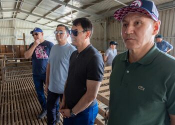 Қазақстандық мамандар аустралиялық ветеринария тәжірибесін зерделеді