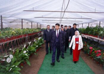 ДАРХАН САТЫБАЛДЫ САУРАНДАҒЫ КӘСІПКЕРЛЕРДІҢ ЖОБАЛАРЫМЕН ТАНЫСТЫ