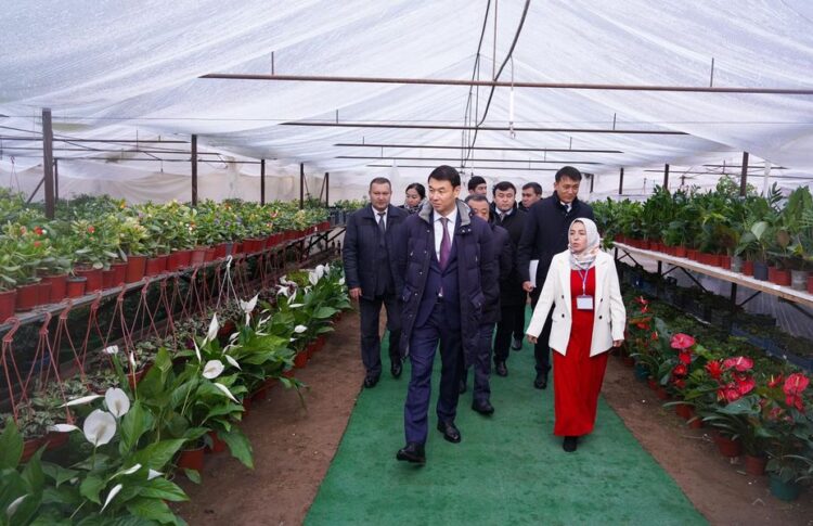 ДАРХАН САТЫБАЛДЫ САУРАНДАҒЫ КӘСІПКЕРЛЕРДІҢ ЖОБАЛАРЫМЕН ТАНЫСТЫ