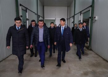 ТҮРКІСТАН ОБЛЫСЫНДА АЗЫҚ-ТҮЛІК БАҒАСЫН ТҰРАҚТАНДЫРУ МАҚСАТЫНДА ҚОЙМАЛАР КӨБЕЙЕДІ