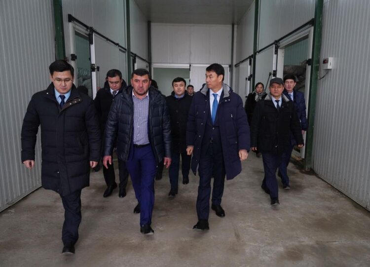 ТҮРКІСТАН ОБЛЫСЫНДА АЗЫҚ-ТҮЛІК БАҒАСЫН ТҰРАҚТАНДЫРУ МАҚСАТЫНДА ҚОЙМАЛАР КӨБЕЙЕДІ