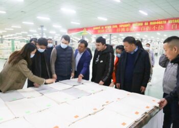 ҚЫТАЙЛЫҚ КОМПАНИЯ ТҮРКІСТАН ОБЛЫСЫНДА МАҚТА КЛАСТЕРІН ДАМЫТУҒА ИНВЕСТИЦИЯ САЛУҒА ДАЙЫН