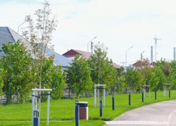 ТҮРКІСТАН ОБЛЫСЫНДА ТҰҚЫМБАҚТАР САНЫ АРТАДЫ