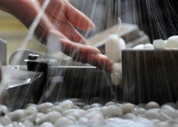 ТҮРКІСТАН ОБЛЫСЫНДА ЖІБЕК ӨНДІРІСІ ЖАНДАНАДЫ