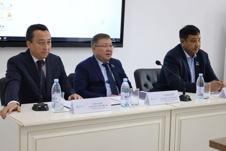 МӘЖІЛІС ДЕПУТАТЫ ТӨЛЕБИ АУДАНЫНА АРНАЙЫ ІС-САПАРМЕН КЕЛДІ