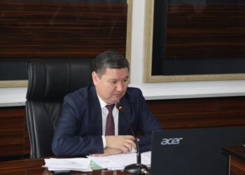 ӨТКЕН ЖЫЛЫ ТҮЛКІБАСТА «АУЫЛ АМАНАТЫ» БАҒДАРЛАМАСЫМЕН 209 ЖОБА ҚАРЖЫЛАНДЫРЫЛДЫ