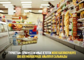 ТҮРКІСТАН: ТІРКЕУСІЗ ЖҰМЫС ІСТЕГЕН ЖЕКЕ КӘСІПКЕРЛЕРГЕ 100 АЕК МӨЛШЕРІНДЕ АЙЫППҰЛ САЛЫНАДЫ