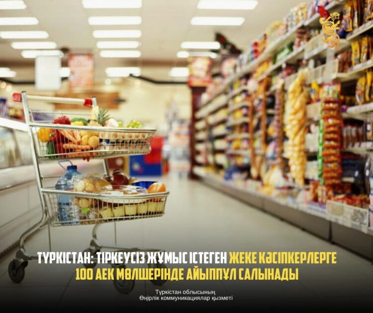 ТҮРКІСТАН: ТІРКЕУСІЗ ЖҰМЫС ІСТЕГЕН ЖЕКЕ КӘСІПКЕРЛЕРГЕ 100 АЕК МӨЛШЕРІНДЕ АЙЫППҰЛ САЛЫНАДЫ