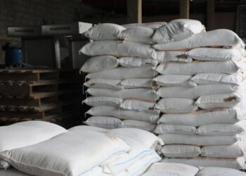 ТҮРКІСТАН: АРЫСТЫҚ ҚАЙЫРЫМДЫ АЗАМАТТАР 140 ОТБАСЫҒА ҚУАНЫШ СЫЙЛАДЫ