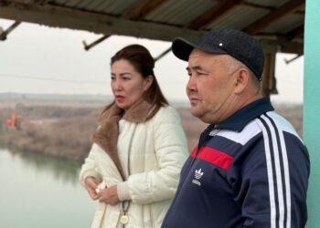 ТҮРКІСТАН ОБЛЫСЫНДА БАЛЫҚ ШАРУАШЫЛЫҒЫМЕН АЙНАЛЫСУҒА НИЕТТІЛЕР САНЫ АРТЫП КЕЛЕДІ