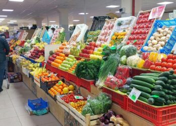 ТҮРКІСТАНДА АЗЫҚ-ТҮЛІК БАҒАСЫНА МОНИТОРИНГ ЖҰМЫСТАРЫ ЖҮРГІЗІЛУДЕ