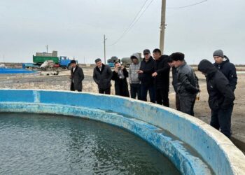 ТҮРКІСТАН: САУРАНДЫҚ КӘСІПКЕРЛЕР ШАРДАРАҒА БАРЫП, БАЛЫҚ ШАРУАШЫЛЫҒЫН ДАМЫТУ ЖОЛДАРЫН ҮЙРЕНДІ