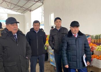 ШАРДАРА: ЖАЛПЫҒА БІРДЕЙ ДЕКЛАРАЦИЯЛАУ БОЙЫНША ТҮСІНДІРІЛДІ