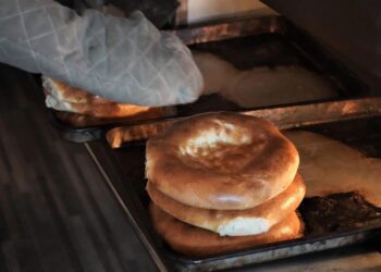 ТҮРКІСТАН: КЕНТАУЛЫҚ НАУБАЙХАНАШЫ МЕМЛЕКЕТ ҚОЛДАУЫНЫҢ АРҚАСЫНДА ӨЗ КӘСІБІН ДӨҢГЕЛЕТІП ОТЫР