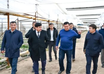 ORDABASY: БАДАМ АУЫЛЫНДА АТҚАРЫЛАТЫН ЖОБАЛАР ТАЛҚЫЛАНДЫ