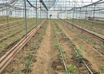 ЖЫЛЫЖАЙДАН ЖЫЛЫНА 10 МЛН ТЕҢГЕ ТАБЫС ТАУЫП ОТЫР