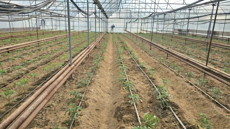 ЖЫЛЫЖАЙДАН ЖЫЛЫНА 10 МЛН ТЕҢГЕ ТАБЫС ТАУЫП ОТЫР