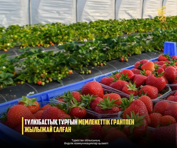 ТҮЛКІБАСТЫҚ ТҰРҒЫН МЕМЛЕКЕТТІК ГРАНТПЕН ЖЫЛЫЖАЙ САЛҒАН