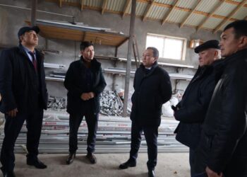 ТҮРКІСТАН: ТӨЛЕБИЛІК КӘСІПКЕР «АУЫЛ АМАНАТЫ» ЖОБАСЫ АЯСЫНДА КӘСІБІН ДАМЫТЫП ОТЫР