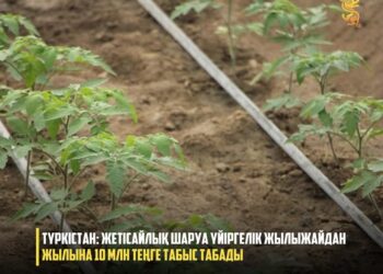 ТҮРКІСТАН: ЖЕТІСАЙЛЫҚ ШАРУА ҮЙІРГЕЛІК ЖЫЛЫЖАЙДАН ЖЫЛЫНА 10 МЛН ТЕҢГЕ ТАБЫС ТАБАДЫ