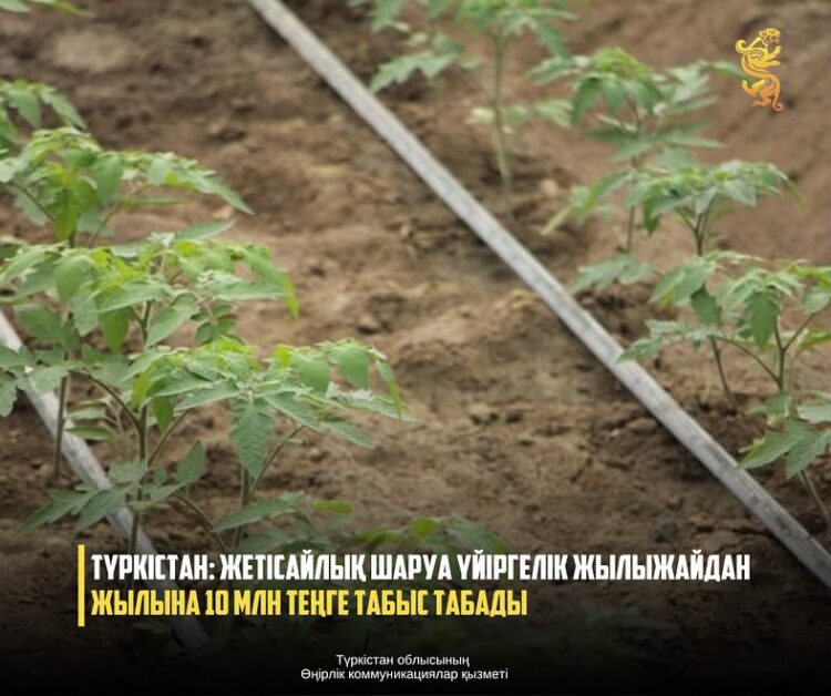 ТҮРКІСТАН: ЖЕТІСАЙЛЫҚ ШАРУА ҮЙІРГЕЛІК ЖЫЛЫЖАЙДАН ЖЫЛЫНА 10 МЛН ТЕҢГЕ ТАБЫС ТАБАДЫ