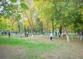 ТҮРКІСТАН ОБЛЫСЫНДА ТАЗАЛЫҚ, АБАТТАНДЫРУ, КӨГАЛДАНДЫРУ ЖҰМЫСТАРЫ БОЙЫНША МОБИЛЬДІ ТОПТАР ҚҰРЫЛАДЫ