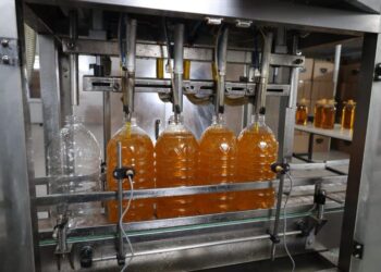 ТҮРКІСТАН: ТӨЛЕБИДЕ МАЙ ӨҢДЕУ ЦЕХЫ ТӘУЛІГІНЕ 4 ТОННА ӨНІМ ШЫҒАРАДЫ