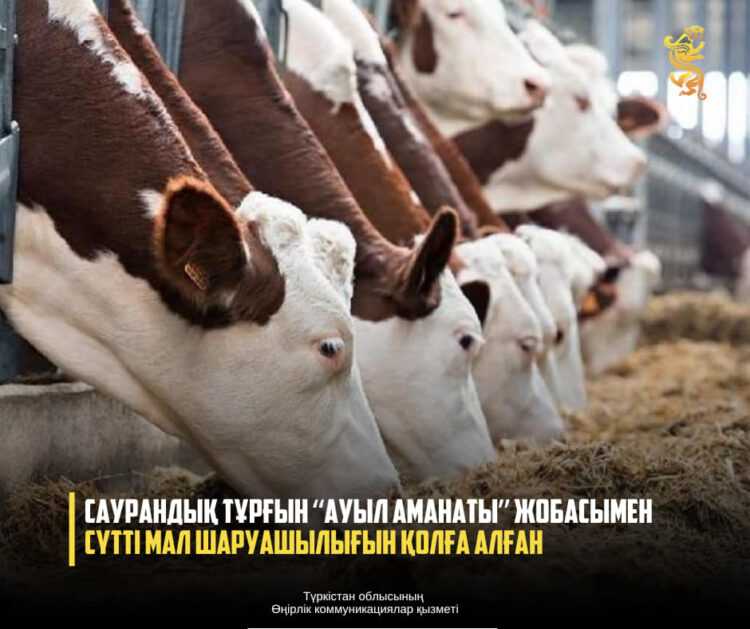 САУРАНДЫҚ ТҰРҒЫН “АУЫЛ АМАНАТЫ” ЖОБАСЫМЕН СҮТТІ МАЛ ШАРУАШЫЛЫҒЫН ҚОЛҒА АЛҒАН